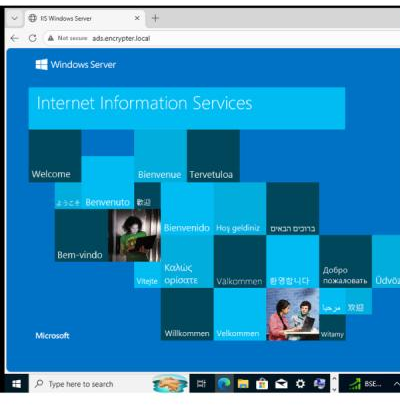 IIS default welcome page successfully served by the Windows Server